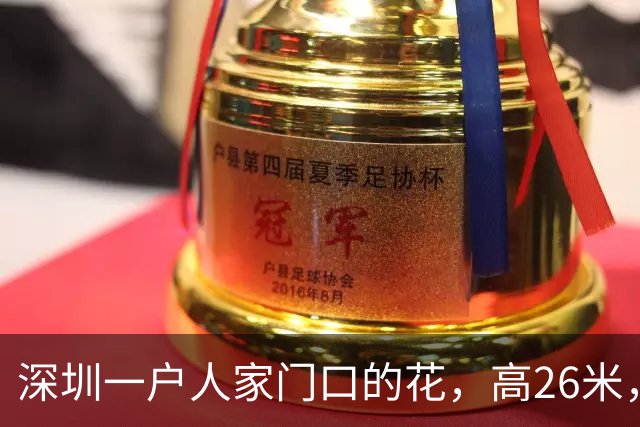 深圳一户人家门口的花，高26米，直接爬上9层楼，太壮观了